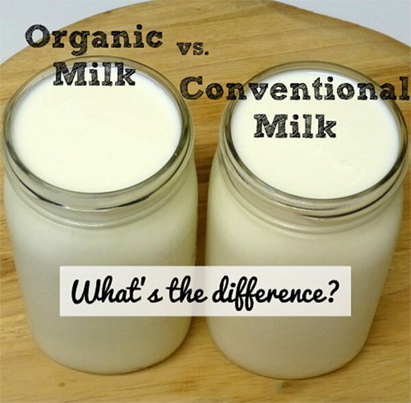 Tại sao sữa bột hữu cơ có giá đắt hơn sữa bột thông thường
