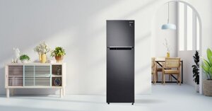 Tại sao tủ lạnh Sharp Inverter 600 lít SJ-SBXP600V được chọn nhiều cho căn bếp?
