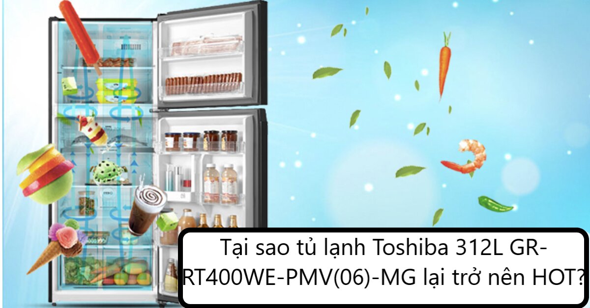 Tại sao tủ lạnh Toshiba 312L GR-RT400WE-PMV(06)-MG lại trở nên HOT?