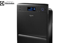 Tận hưởng không khí trong lành với máy lọc không khí Electrolux Z531