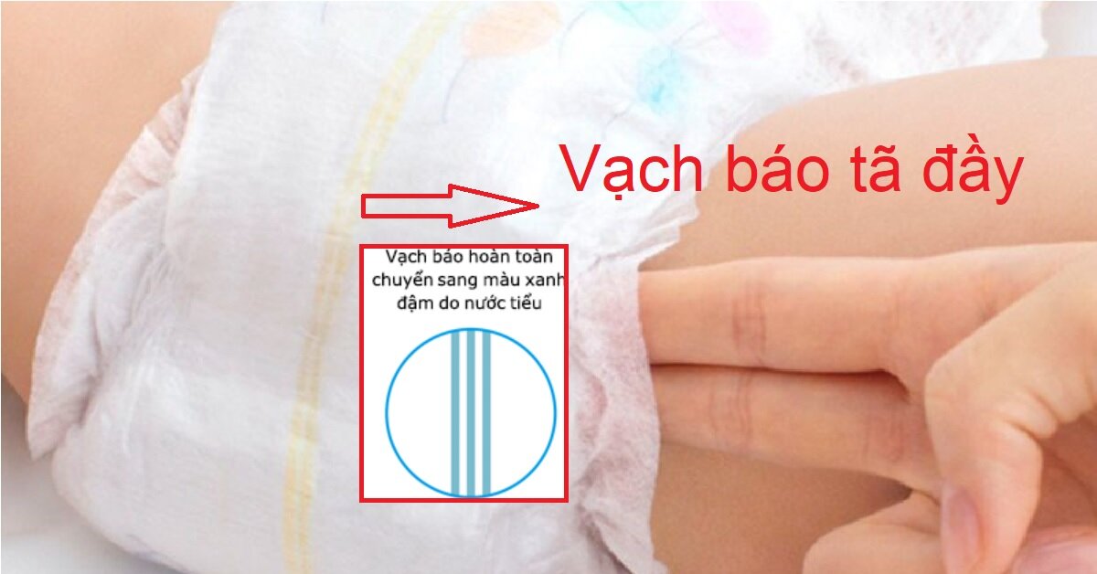 Tất cả các loại bỉm có vạch báo đầy đáng sắm nhất thị trường 2023