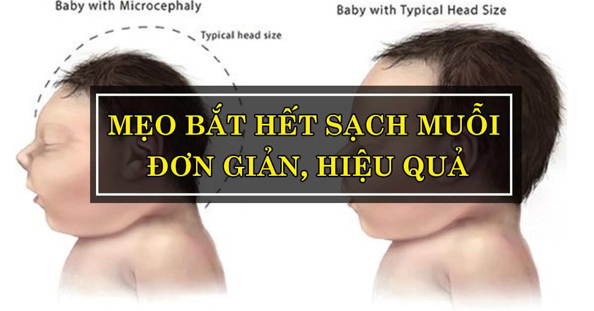 Tất tần tật các cách đuổi muỗi tự nhiên, an toàn và hiệu quả