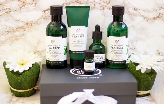 Tea Tree Oil trị mụn có tốt không? Hiệu quả trị mụn từ A đến Z