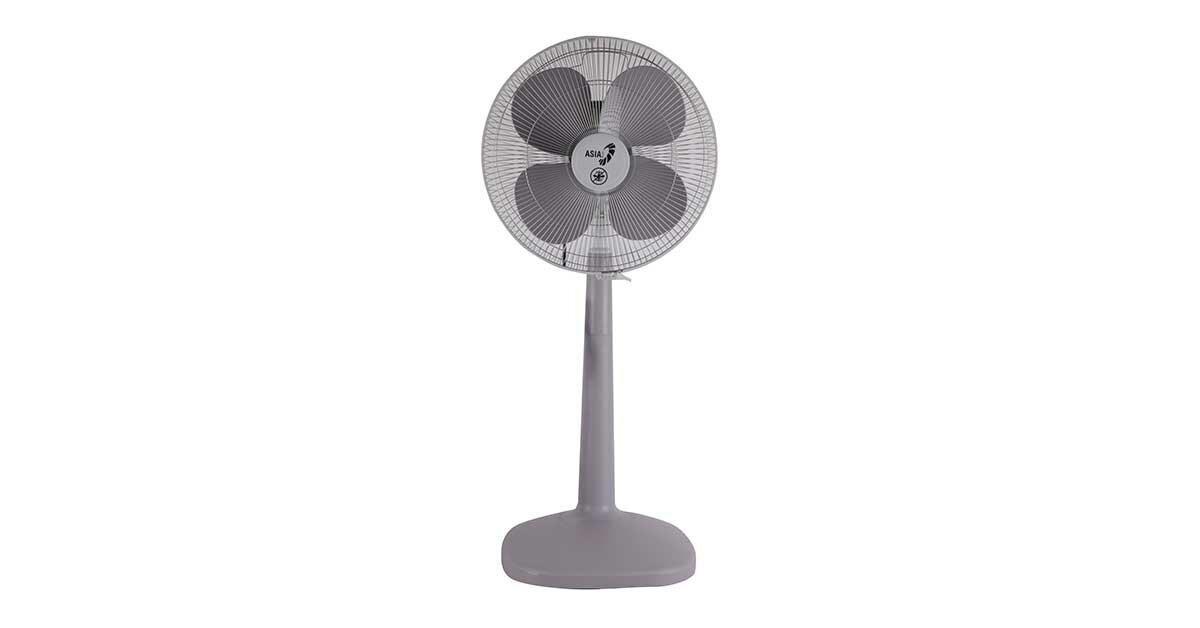 Thông tin chi tiết về quạt cây Asia D16026-XV0