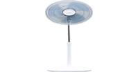 Thông tin chi tiết về quạt cây Asia D16027-TV0