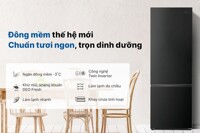 Thông tin chi tiết về tủ lạnh Aqua Inverter 260 lít AQR-B310MA(FB)