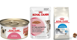 Thức ăn cho mèo Royal Canin có những loại nào?