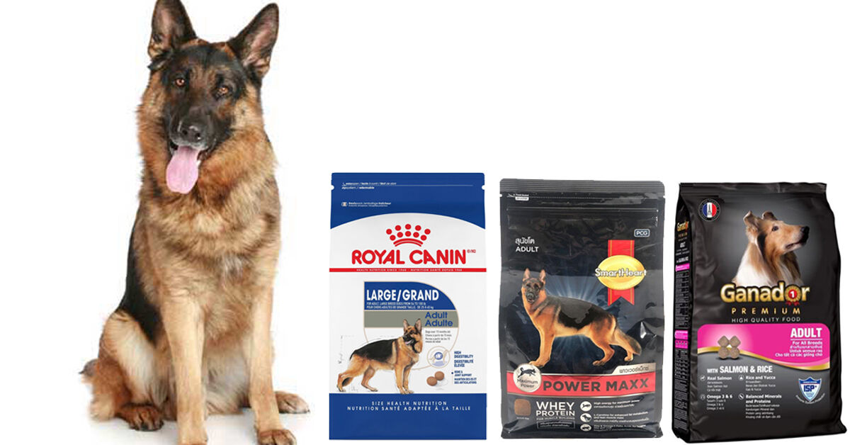 Thức ăn khô tốt nhất cho giống chó lớn becgie đức
