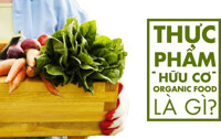 Thực phẩm sạch organic là gì, giá bao nhiêu, mua ở đâu?