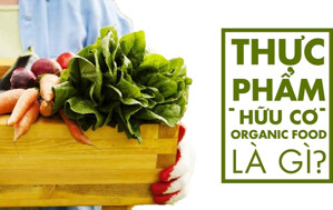 Thực phẩm sạch organic là gì, giá bao nhiêu, mua ở đâu?