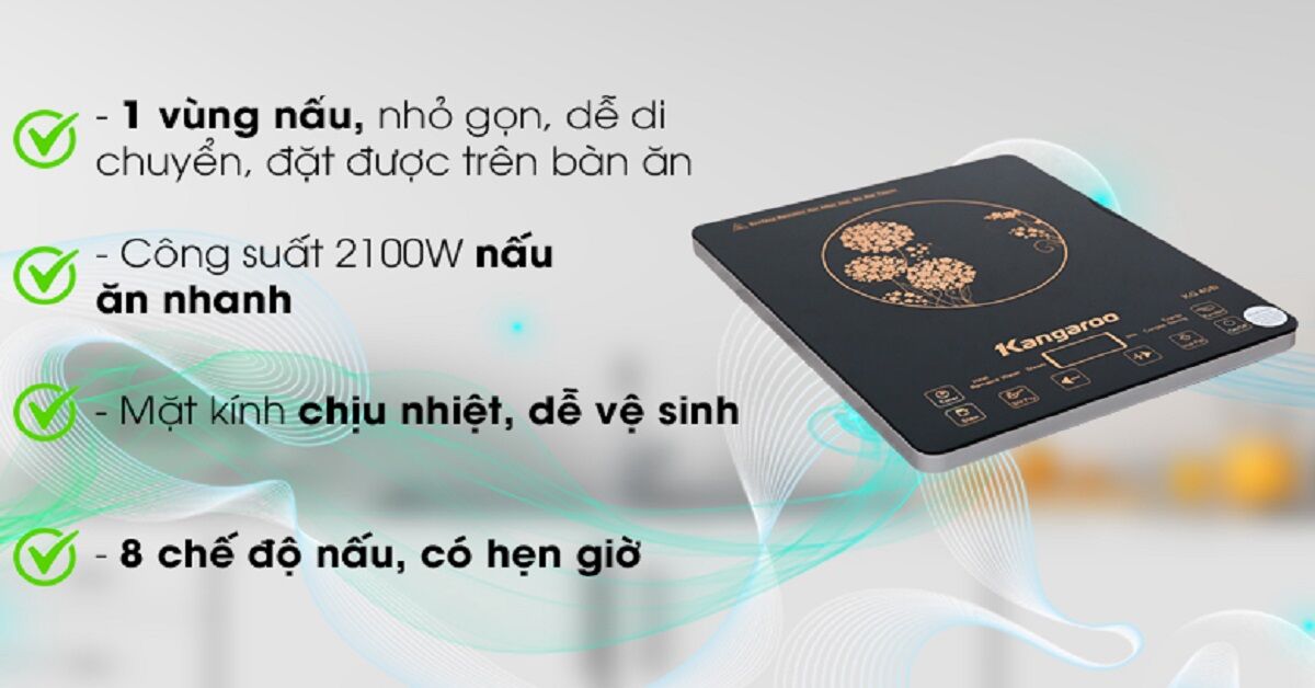 Tiết lộ 4 loại bếp từ mini không thể bỏ lỡ hiện nay