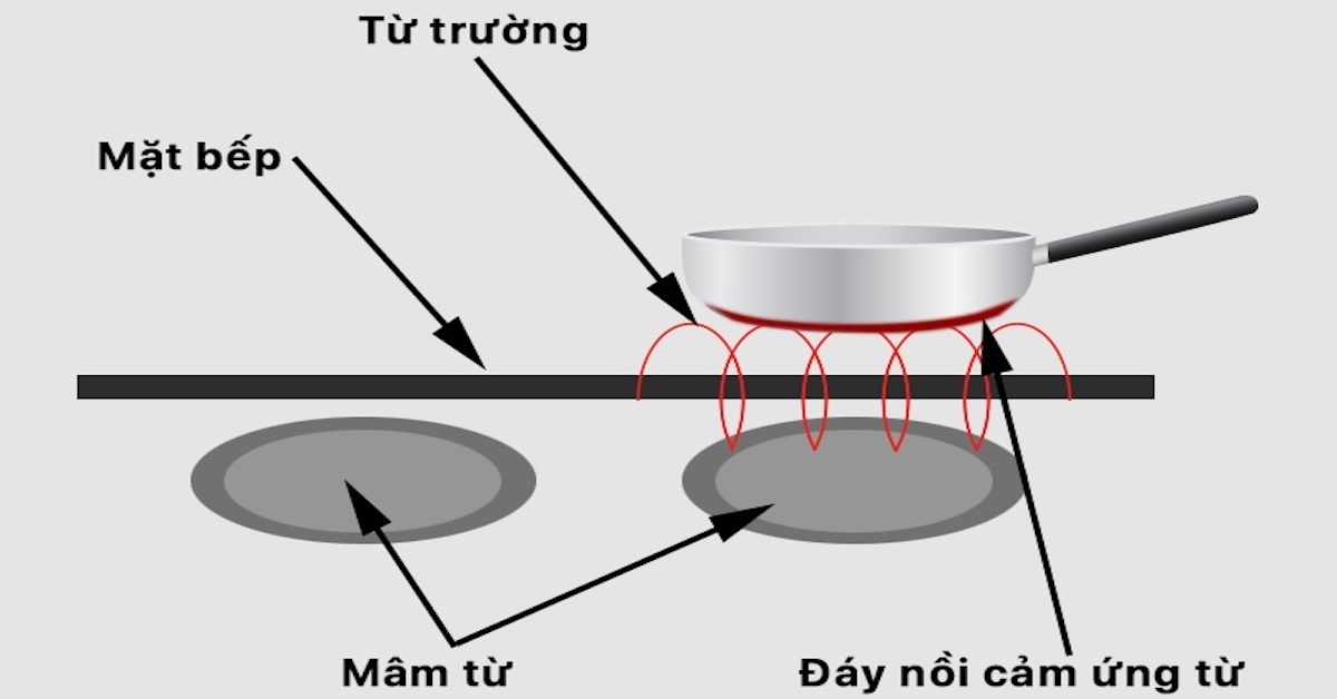 Tìm hiểu các bộ phận chính của bếp hồng ngoại gồm có những gì