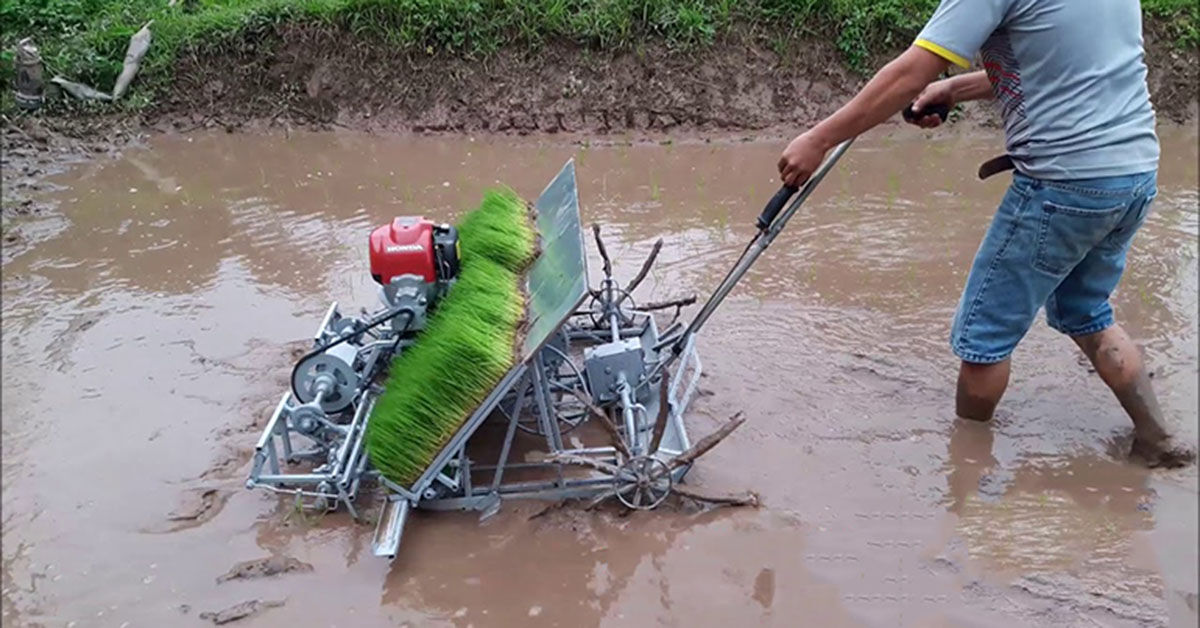 Tìm hiểu máy cấy Văn Lang: Giá bao nhiêu tiền? Chất lượng có tốt không?