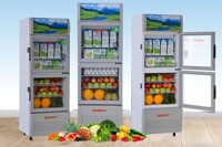 Tìm hiểu ưu nhược điểm của tủ mát Sanaky Inverter 2 cánh 200 lít VH-218W3