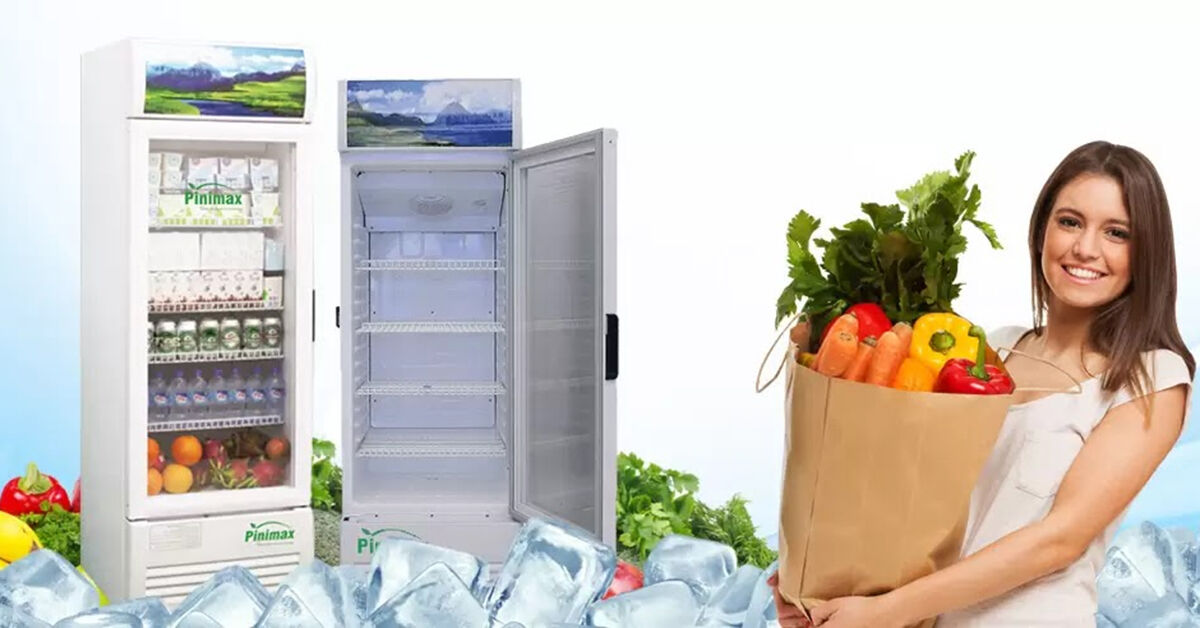 Tìm hiểu về dòng tủ mát Pinimax PNM-309KL 300 lít