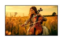 Tivi Sony Mini LED 65 inch K-65XR50 hạ giá 22 triệu đồng, chất lượng xuất sắc