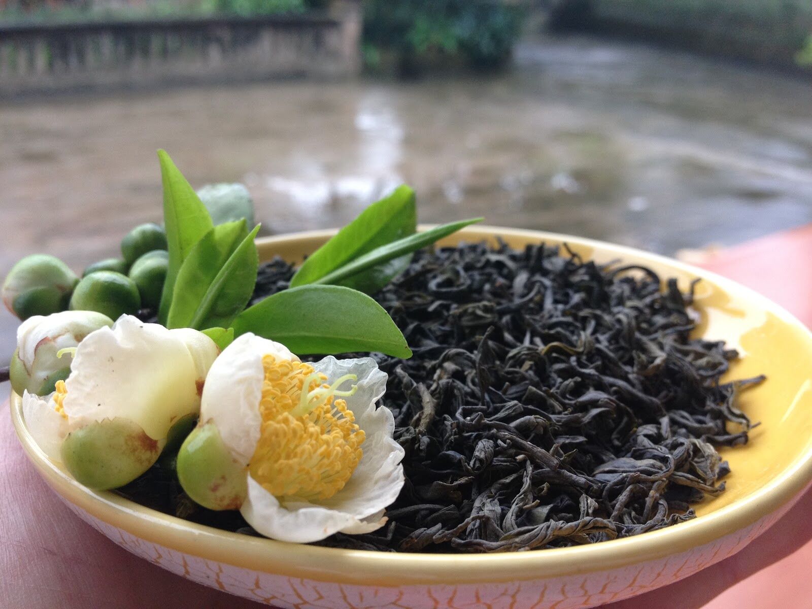 Tổng hợp các cách khử mùi cho tủ lạnh