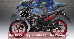Tổng hợp các dòng xe máy Suzuki trên thị trường, địa chỉ mua tại Hải Phòng
