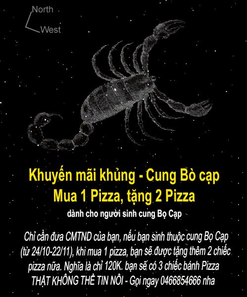 Tổng hợp một số cửa hàng khuyến mãi cho cung Bọ Cạp tại Hà Nội