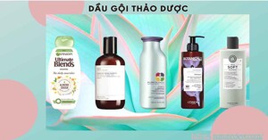 Top 2 loại dầu gội thảo dược an toàn và tốt nhất hiện nay