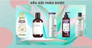 Top 2 loại dầu gội thảo dược an toàn và tốt nhất hiện nay