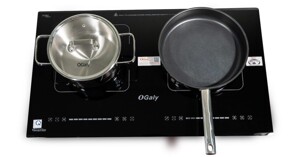 Top 3 bếp từ đôi Ogaly tốt và được tin dùng nhất hiện nay
