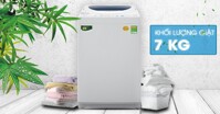 Top 3 máy giặt Toshiba 7kg cho gia đình nhỏ