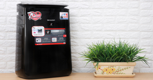 Top 3 máy lọc không khí Sharp được ưa chuộng hiện nay
