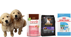 TOP 3 thức ăn khô tốt nhất dành cho chó con tập ăn dặm