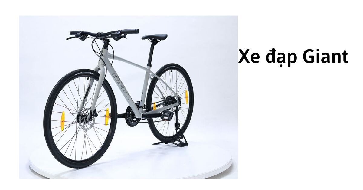 Top 3 xe đạp Giant đường phố đáng mua năm 2021