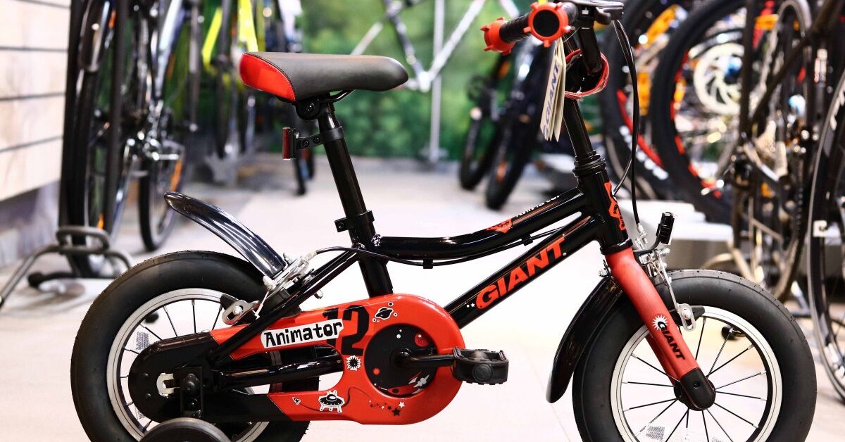 Top 3 xe đạp trẻ em 2 tuổi tốt nhất dành cho con yêu