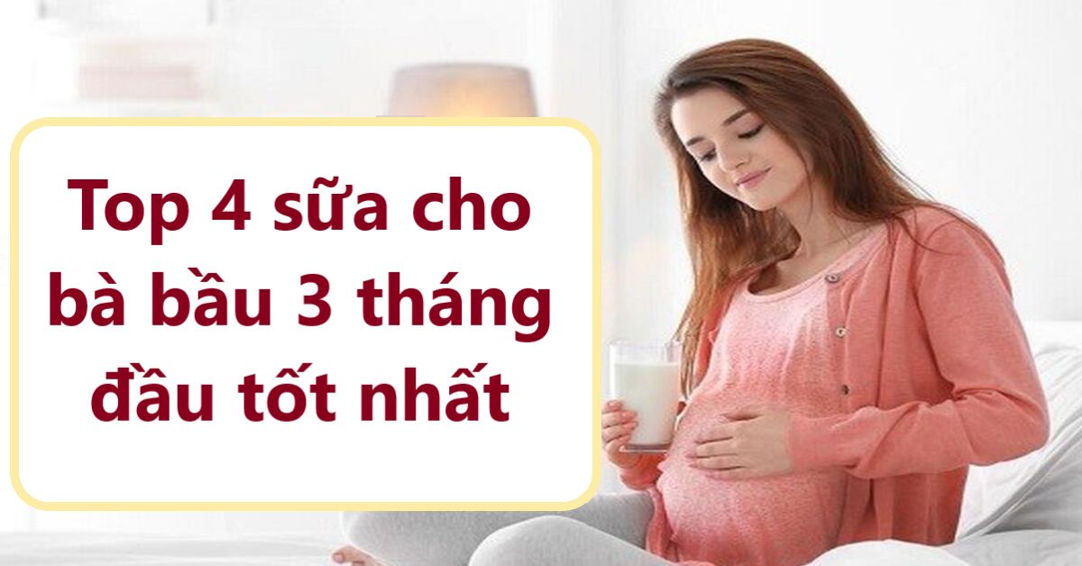 Top 4 loại sữa cho mẹ bầu trong giai đoạn 3 tháng đầu tốt nhất hiện nay