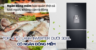 Top 4 mẫu tủ lạnh inverter có ngăn đông mềm dưới 300 lít đáng mua