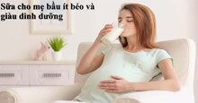 Top 4 sữa cho mẹ bầu ít béo và giàu dinh dưỡng trong 3 tháng giữa thai kỳ