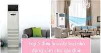 Top 5 điều hòa cây loại nhỏ đáng sắm cho gia đình
