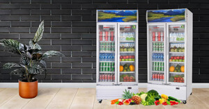 Top 5 loại tủ mát Sanaky 2 cánh làm lạnh nhanh, chống thoát nhiệt