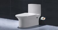 Top 5 mẫu bồn cầu 1 khối giá rẻ nhất năm 2020