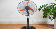 Top 5 quạt cây điện cơ bán chạy nhất hiện nay