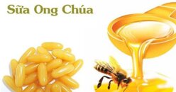 Top 5 sữa ong chúa tốt cho sức khỏe mà bạn nên biết