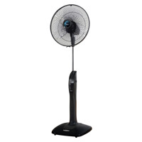 Top 7 quạt cây gia dụng nhập khẩu thiết kế đẹp