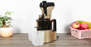 Top các dòng máy ép chậm Ferroli được yêu thích nhất hiện nay 2023