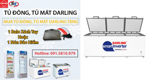 Tủ đông Darling giảm giá cực sốc tại Điện Lạnh Sáng Tạo
