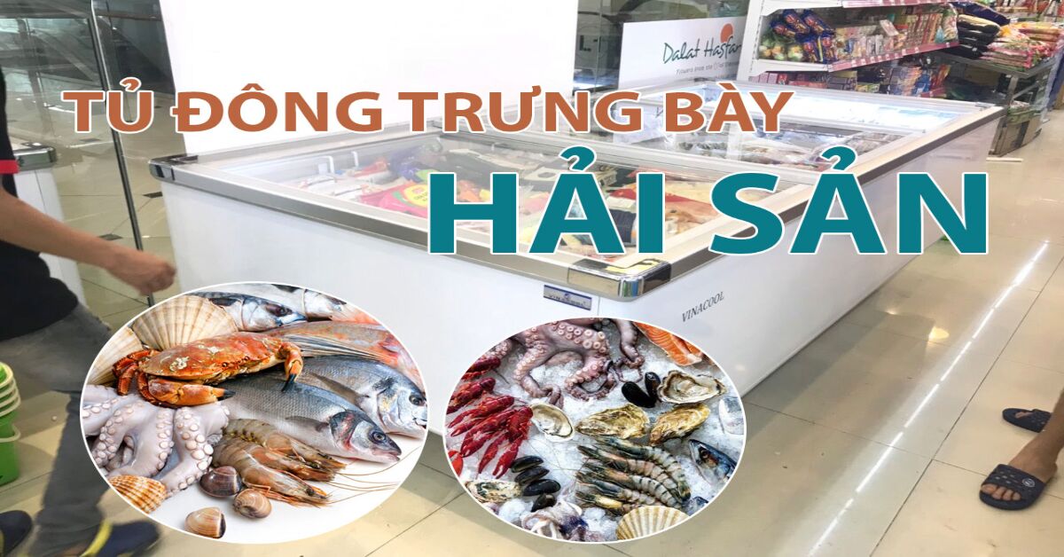 Tủ đông đựng hải sản có tốt không? Giá tủ đông trưng bày hải sản bao nhiêu tiền?