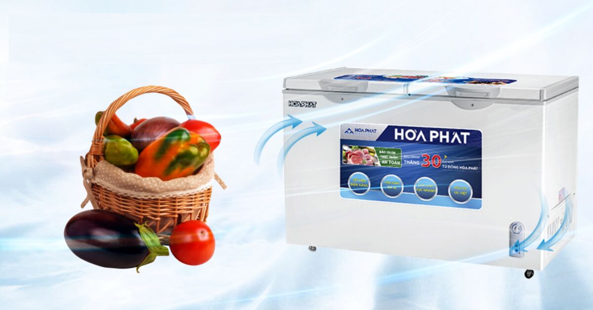 Tủ đông Hòa Phát 300l nào HOT nhất hiện nay?