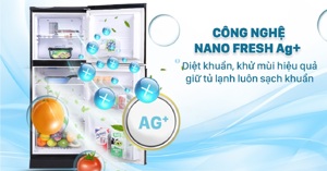 Tủ lạnh AQUA 143 lít AQR-T150FA (BS) có tốt không? Giá bao nhiêu?
