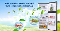 Tủ lạnh Aqua Inverter 212 Lít AQR-T239FA(HB) có nguồn gốc từ nước nào? Chất lượng có tốt không?