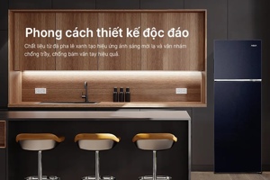 Tủ lạnh Aqua Inverter 228 lít AQR-T278FA(SC) lựa chọn hoàn hảo cho gia đình bạn