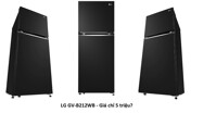 Tủ lạnh LG GV-B212WB giá chỉ từ 5 triệu đồng có gì nổi bật?