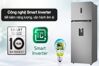 Tủ lạnh LG Inverter 459 lít LTD46SVMA phù hợp gia đình có từ 4 - 5 thành viên
