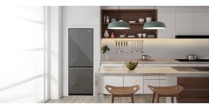 Tủ lạnh Panasonic NR-BV281BGMV – Lựa chọn tốt nhất cho người trẻ độc thân ở trọ hoặc gia đình ở chung cư mini